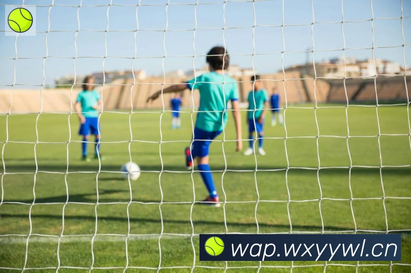 开云体育登录平台生态图