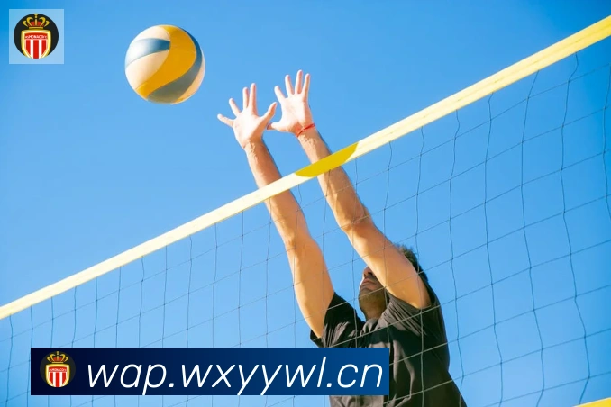 开云体育登录荣誉