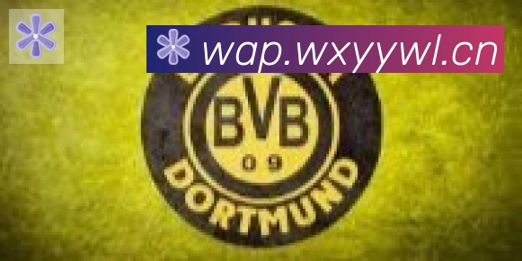 开云体育登录合作伙伴