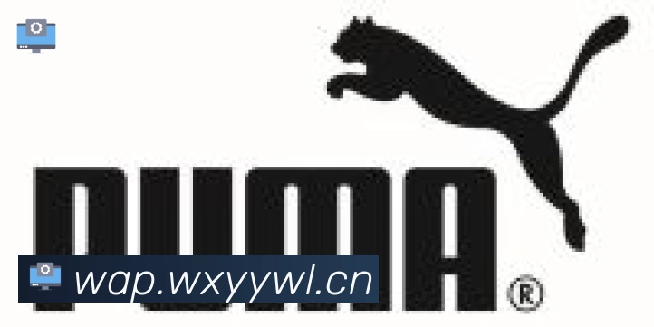 开云体育登录合作伙伴